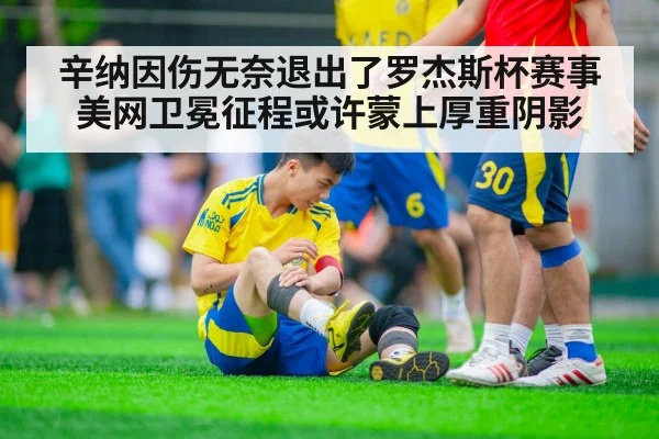 辛纳因伤无奈退出了罗杰斯杯赛事 美网卫冕征程或许蒙上厚重阴影