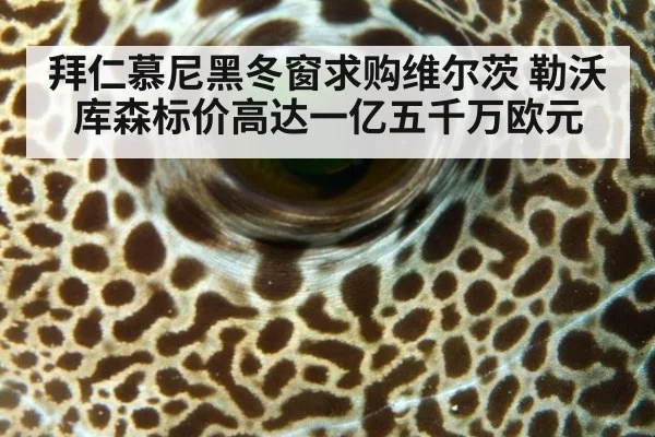 拜仁慕尼黑冬窗求购维尔茨 勒沃库森标价高达一亿五千万欧元